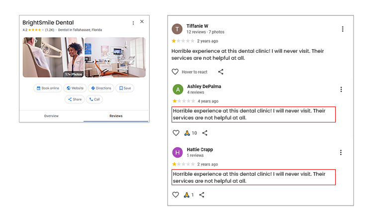 Duplicate Spam Reviews
