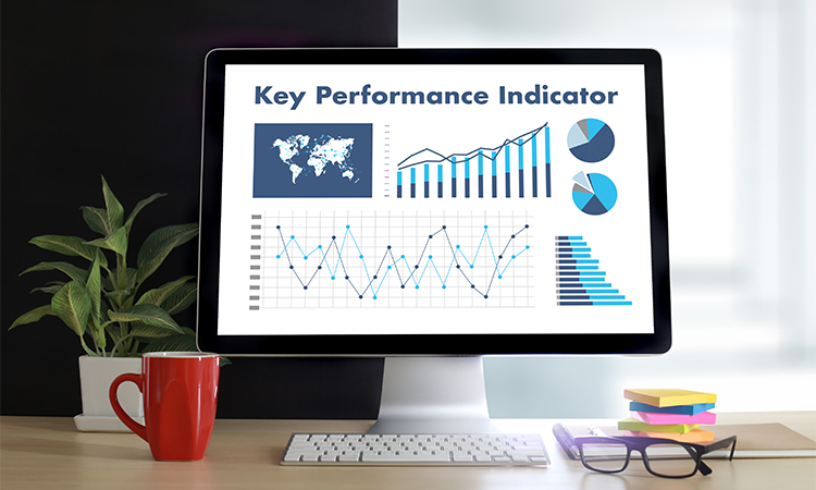 Establish Performance Indicators