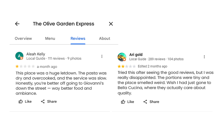 Promotional Spam Reviews