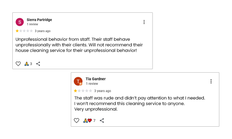 Repetitive Spam Reviews