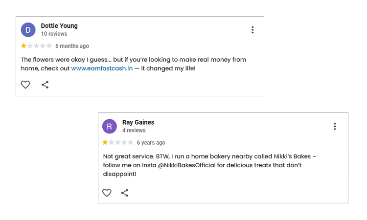 Unrelated Promotional Spam Reviews