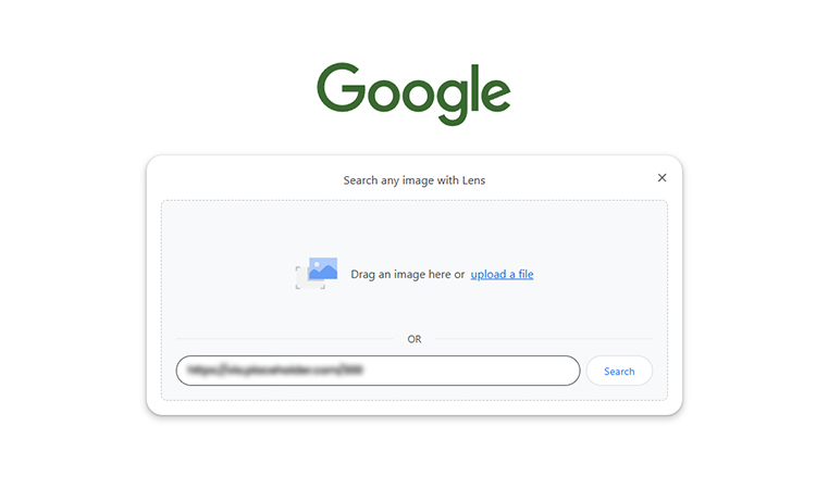 Find Out Where the Image Appears Online