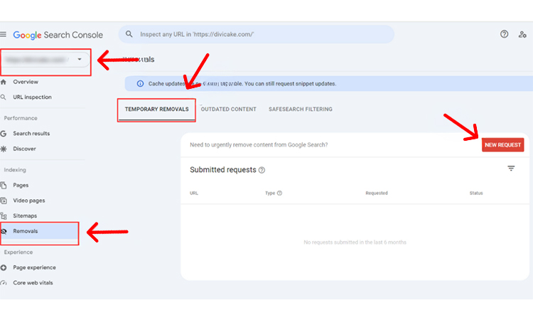 Use the Google Removal Tool